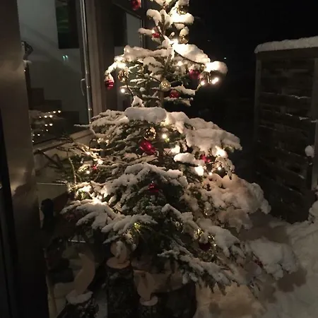 Apartment Ellmer Flachau