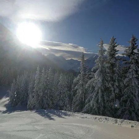 Ellmer Appartement Flachau