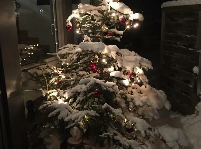 Apartment Ellmer Flachau