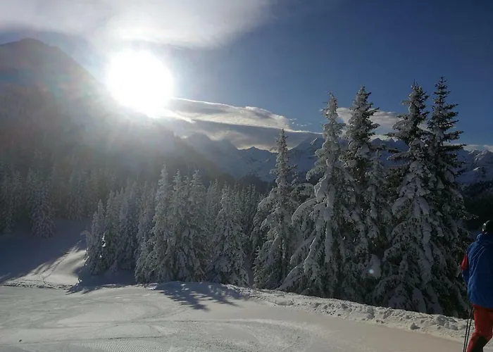 Ellmer Apartment Flachau